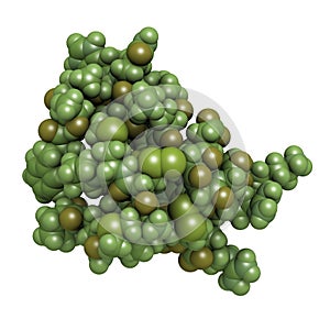 Chlorotoxin scorpion toxin. Peptide toxin present in deathstalker scorpion venom. Blocks chloride channels