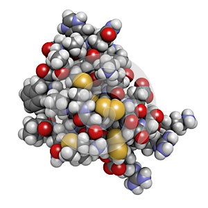 Chlorotoxin scorpion toxin. Peptide toxin present in deathstalker scorpion venom. Blocks chloride channels