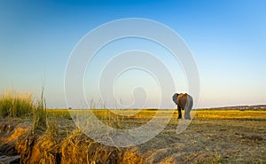 Chobe National Park