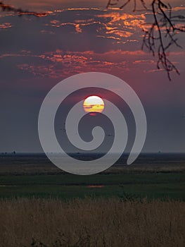 The Chobe National Park between Botswana and Namibia at sunset, Africa