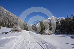 Chocholowska Valley in winter. Tatra Mountains