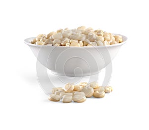 Choclo giant white corn domestic food isolated on white with clipping path photo