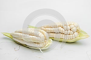 Choclo, giant white corn. On a white background