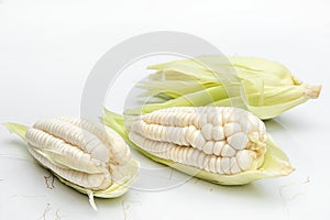 Choclo, giant white corn. On a white background photo