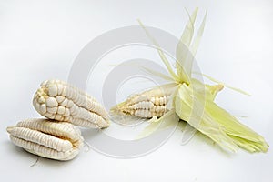 Choclo, giant white corn. On a white background photo