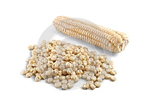 Choclo white corn domestic food on white background photo