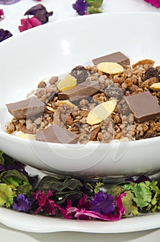 Chocolade cereal with milk