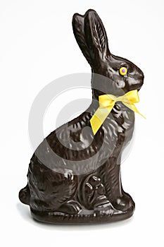 Chocolat rabbit photo