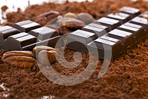 Chocolate Bar and Cocoa Powder