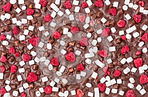 Chocolate bar with dried raspberries and marshmallow