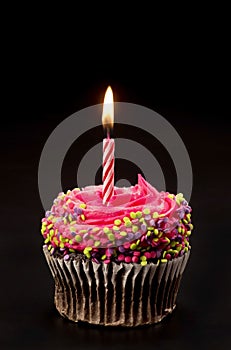 Chocolate Birthday Cupcake with One Candle