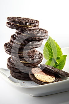 Chocolate Biscuit Cookies photo