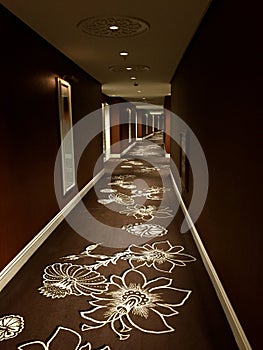 Hallway interior in brown photo