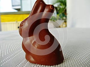 Chocolate Bunny