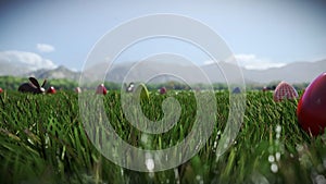 Chocolate bunny and Easter eggs scattered on a green meadow, panning