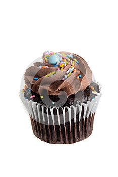chocolate buttercream cupcake with sprinkles