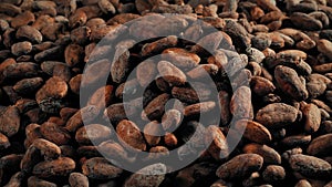 Chocolate Cacao Beans Pour Into Pile 2 Versions