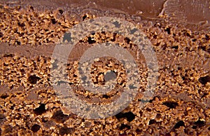Chocolate cake texture
