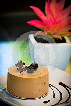 Chocolate cake with buleberry