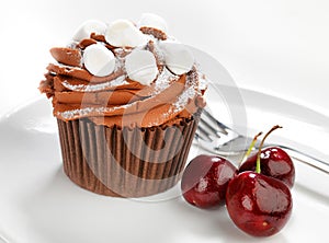 Chocolate Cake and Cherries
