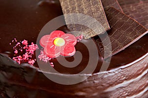 Chocolate cake with chocolate ornaments and red marzipan rose photo