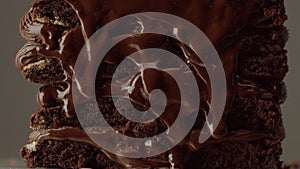 Chocolate cake with chocolte cream with different texture