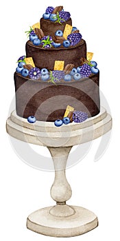 Chocolate cake decorated with blueberries and blackberries on a stand. Watercolor holiday clipart