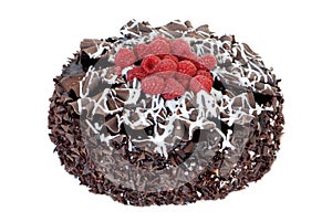 Chocolate cake with fresh raspberries
