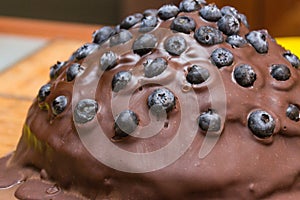 Chocolate cake made of chocolate pancakes with glaze, with blueberries. Vintage style.