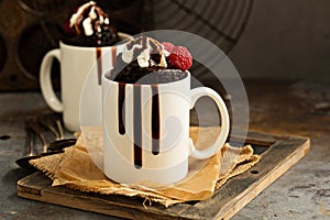 Chocolate cake in the mug