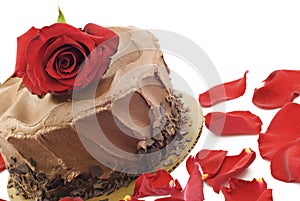 Chocolate Cake with Red Rose