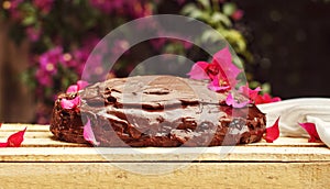 Chocolate cake sachertorte in the garden