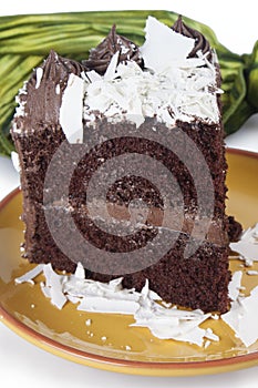 Chocolate Cake