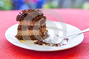 Chocolate cake slice on white plate