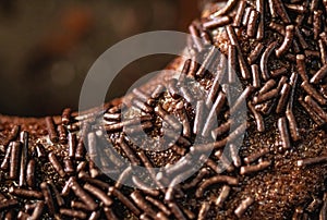 Chocolate cake with chocolate sprinkles. photo