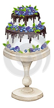 Chocolate cake on a stand decorated with berries and mint. Watercolor holiday clipart