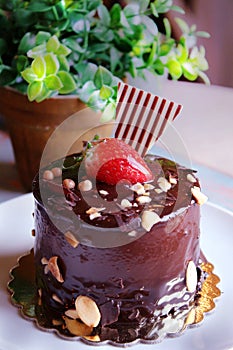 Chocolate cake with strawberries on top, sprinkled with nuts on