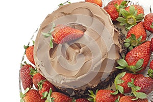 Chocolate Cake With Strawberries On White