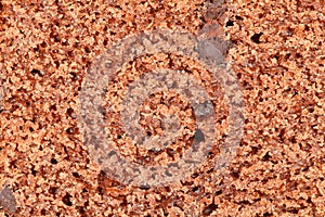 Chocolate Cake Texture