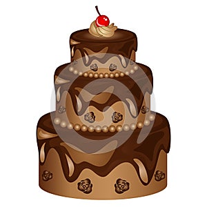 Chocolate Cake Vector Illustration with roses and cherry