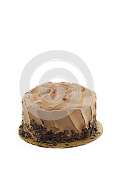 Chocolate Cake Vertical White Background