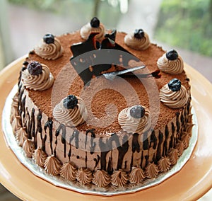 Chocolate cakes