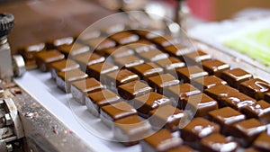 Chocolate candies on conveyor at confectionery
