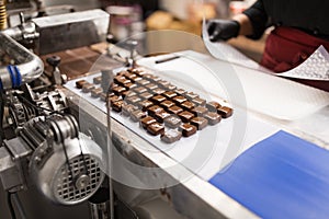 Chocolate candies on conveyor at confectionery