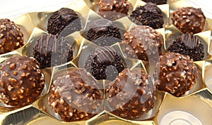 Chocolate candies isolated in tray on background