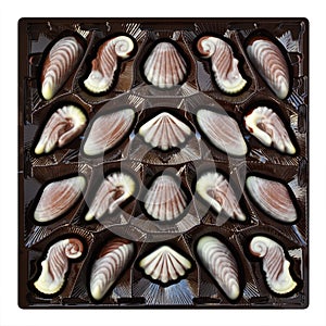 Chocolate candies, seashell and seahorse truffles, artisanal confections in a box photo