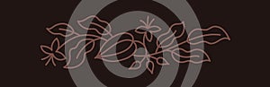 Chocolate candy box design element. Cocoa bean. Beans and branches leaves. Editable outline stroke. Vector line.