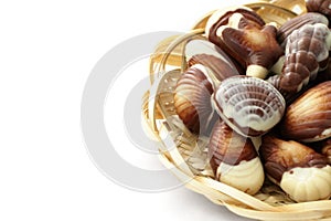 Chocolate candy shaped sea shells