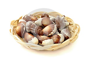 Chocolate candy shaped sea shells