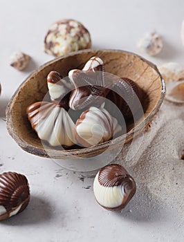 Chocolate candy shell shape